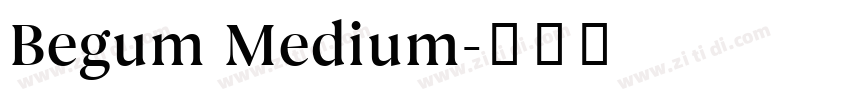 Begum Medium字体转换
